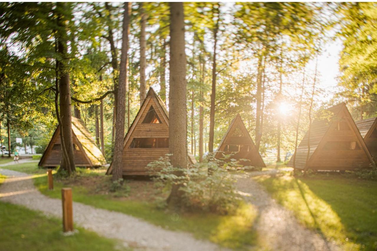 Forest Camping 莫济列 外观 照片